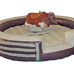Mechanical Bull